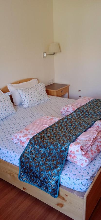 Lhardak Home Stay Λεχ Εξωτερικό φωτογραφία